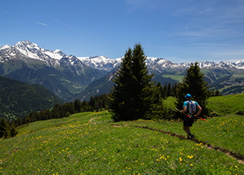 Trail de Bozel - Mont Jovet Du 15 au 16 juin 2024