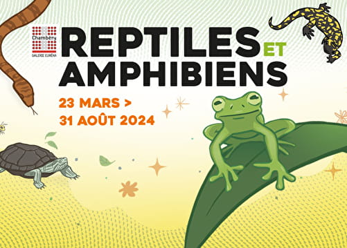 Exposition : Reptiles et amphibiens Du 23 mars au 31 août 2024